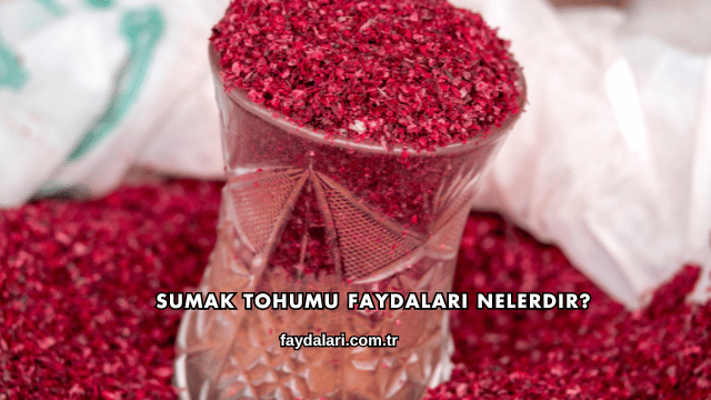 Sumak Tohumu Faydaları Nelerdir?