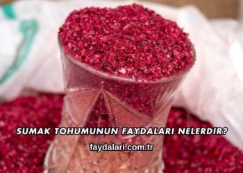 Sumak Tohumunun Faydaları Nelerdir?