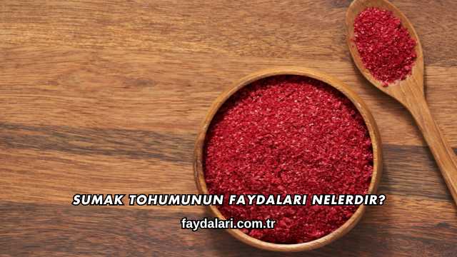 Sumak Tohumunun Faydaları Nelerdir?