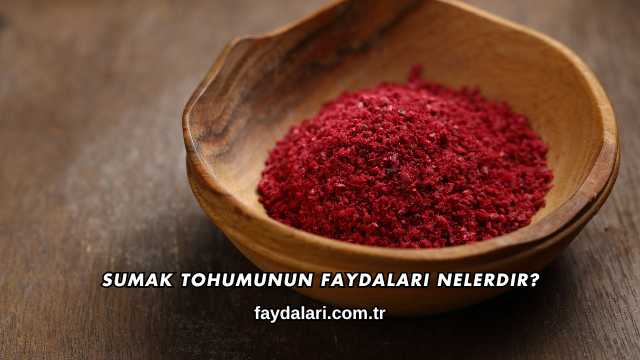 Sumak Tohumunun Faydaları Nelerdir?
