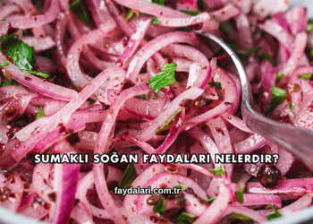 Sumaklı Soğan Faydaları Nelerdir?