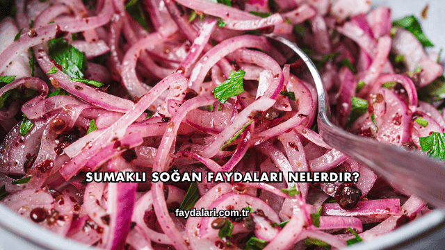 Sumaklı Soğan Faydaları Nelerdir?