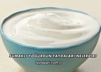 Sumaklı Yoğurdun Faydaları Nelerdir?