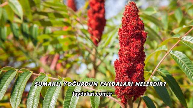 Sumaklı Yoğurdun Faydaları Nelerdir?