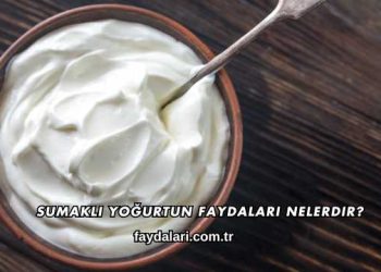 Sumaklı Yoğurtun Faydaları Nelerdir?