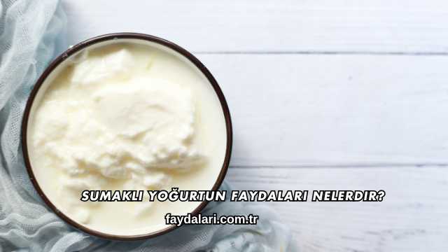 Sumaklı Yoğurtun Faydaları Nelerdir?