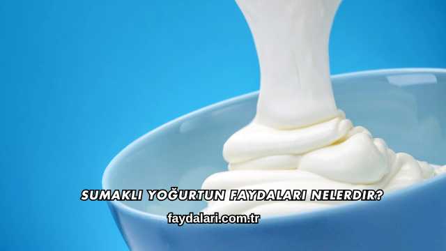 Sumaklı Yoğurtun Faydaları Nelerdir?