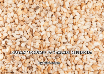 Susam Tohumu Faydaları Nelerdir?
