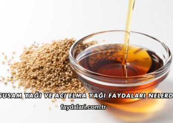 Susam Yağı ve Acı Elma Yağı Faydaları Nelerdir?