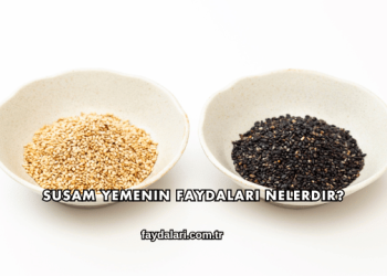 Susam Yemenin Faydaları Nelerdir?