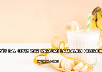 Süt Bal Ceviz Muz Karışımı Faydaları Nelerdir