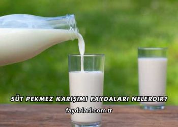 Süt Pekmez Karışımı Faydaları Nelerdir?