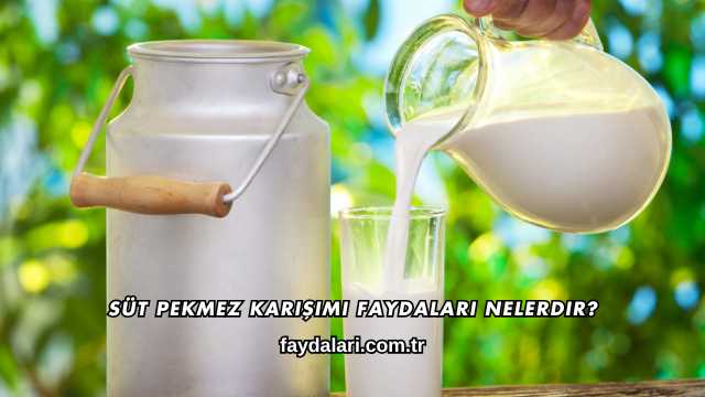 Süt Pekmez Karışımı Faydaları Nelerdir?
