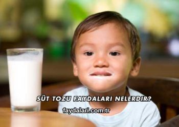 Süt Tozu Faydaları Nelerdir?