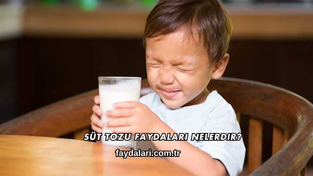 Süt Tozu Faydaları Nelerdir?