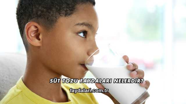 Süt Tozu Faydaları Nelerdir?