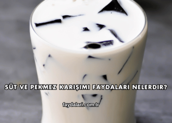 Süt ve Pekmez Karışımı Faydaları Nelerdir?