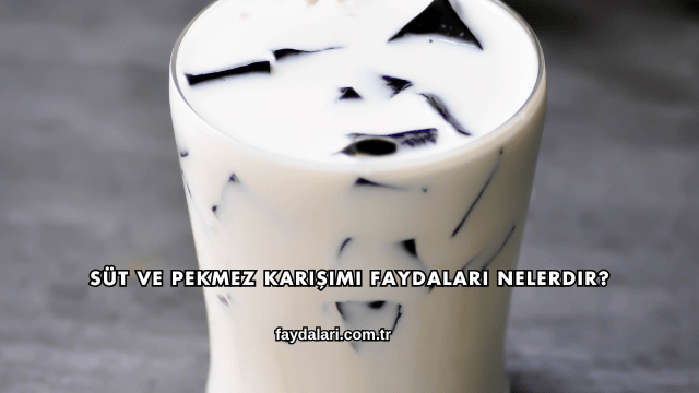Süt ve Pekmez Karışımı Faydaları Nelerdir?