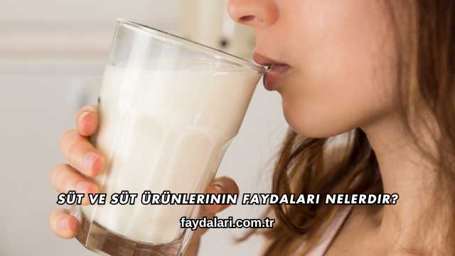 Süt ve Süt Ürünlerinin Faydaları Nelerdir?