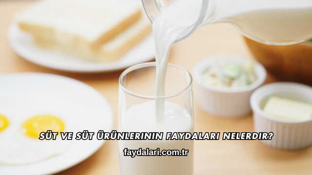 Süt ve Süt Ürünlerinin Faydaları Nelerdir?