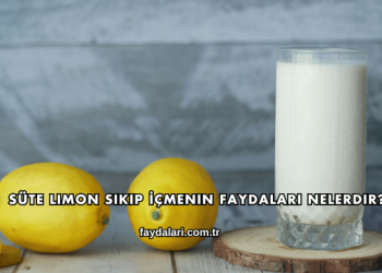 Süte Limon Sıkıp İçmenin Faydaları Nelerdir?