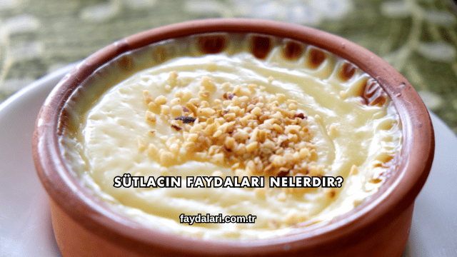 Sütlacın Faydaları Nelerdir?