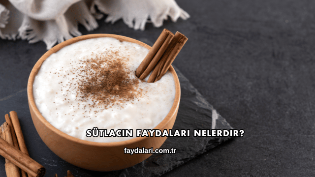 Sütlacın Faydaları Nelerdir?