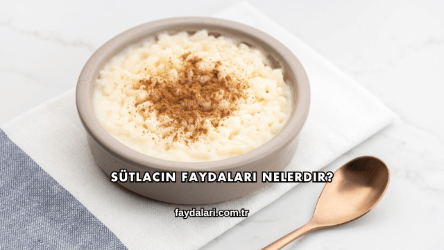 Sütlacın Faydaları Nelerdir?