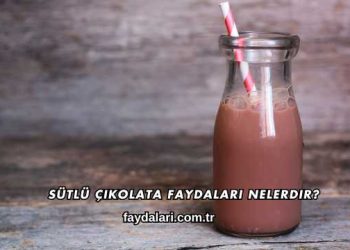 Sütlü Çikolata Faydaları Nelerdir?