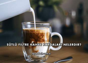 Sütlü Filtre Kahve Faydaları Nelerdir?