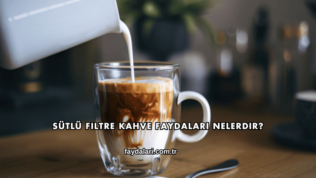 Sütlü Filtre Kahve Faydaları Nelerdir?