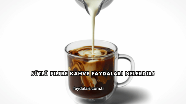 Sütlü Filtre Kahve Faydaları Nelerdir?