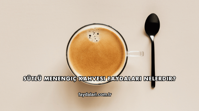 Sütlü Menengiç Kahvesi Faydaları Nelerdir?