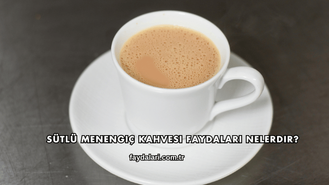 Sütlü Menengiç Kahvesi Faydaları Nelerdir?