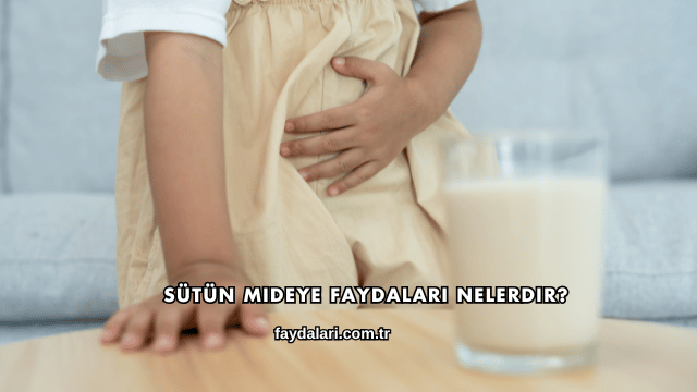 Sütün Mideye Faydaları Nelerdir?