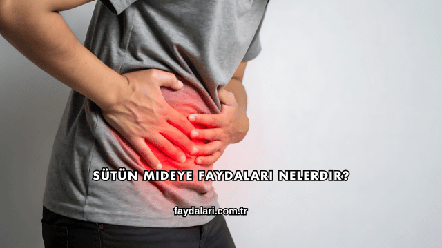 Sütün Mideye Faydaları Nelerdir?