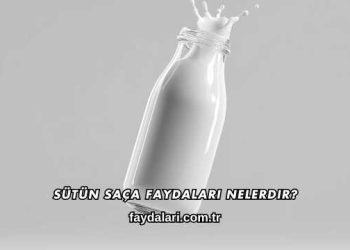 Sütün Saça Faydaları Nelerdir?