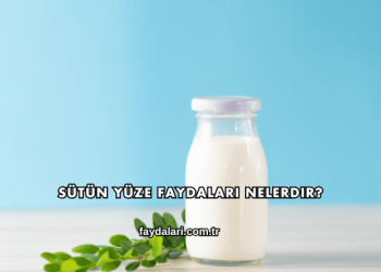 Sütün Yüze Faydaları Nelerdir?