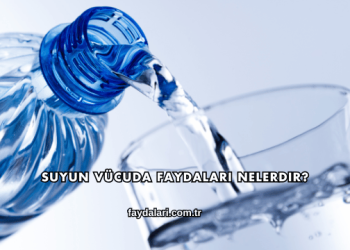 Suyun Vücuda Faydaları Nelerdir?