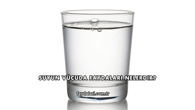 Suyun Vücuda Faydaları Nelerdir?