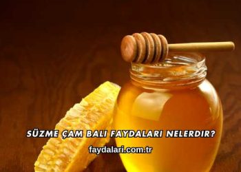 Süzme Çam Balı Faydaları Nelerdir?