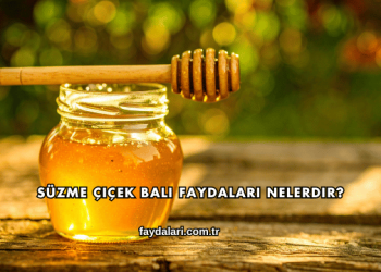 Süzme Çiçek Balı Faydaları Nelerdir?
