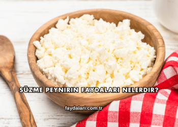 Süzme Peynirin Faydaları Nelerdir?