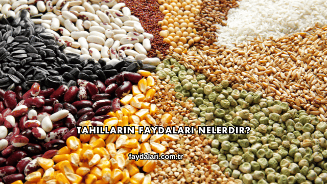 Tahılların Faydaları Nelerdir?