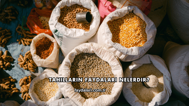 Tahılların Faydaları Nelerdir?