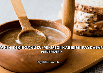 Tahin Keçiboynuzu Pekmezi Karışımı Faydaları Nelerdir?