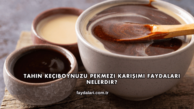 Tahin Keçiboynuzu Pekmezi Karışımı Faydaları Nelerdir?