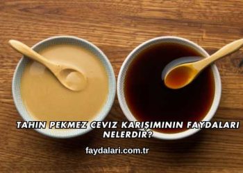 Tahin Pekmez Ceviz Karışımının Faydaları Nelerdir?