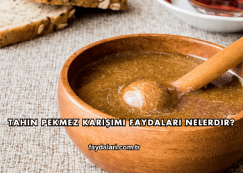 Tahin Pekmez Karışımı Faydaları Nelerdir?