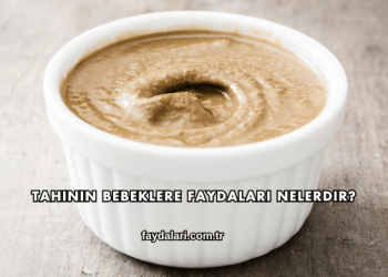 Tahinin Bebeklere Faydaları Nelerdir?